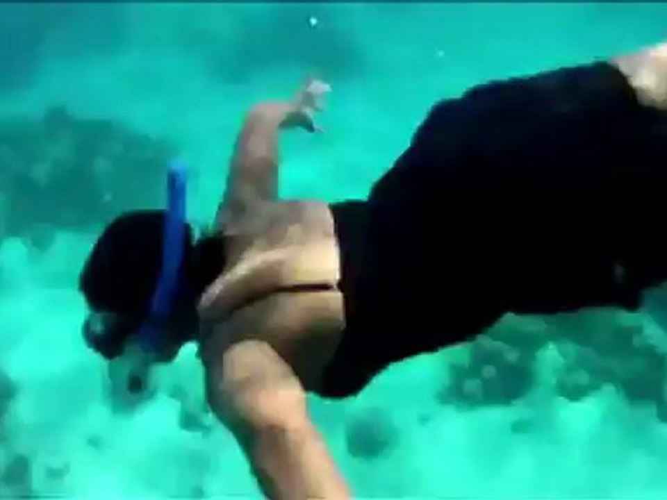 earthrise - Banned in Belize