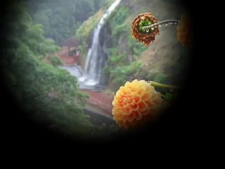 Aarati Mukhopadhay- Tapur Tupur Sara Dupur