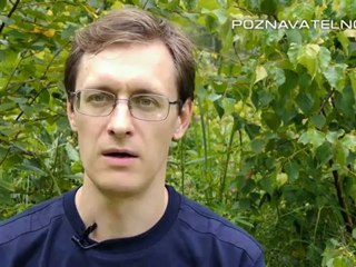 Утиная история про ФРС (High)