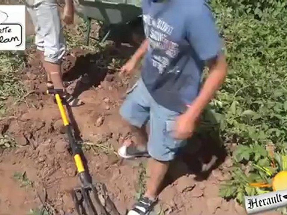 BESSAN - 2012 - Cueillette de Caillan : Venez cueillir vos produits  de saison sur le champs !