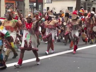 Carnaval tropical de Paris - juillet 2012