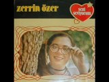 Zerrin Özer - Bizler Ve Sizler (1976)