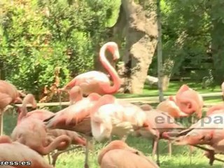 Un verano diferente para los más pequeños