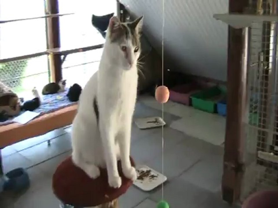 23 06 12 Edgar 01