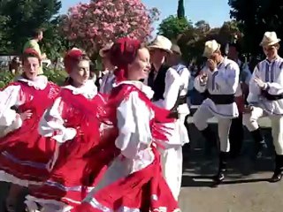 Fete des 50 ans de Rodilhan (Defiler)