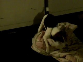 Just A Dog Trying To Get A Nut