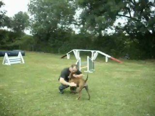 Démonstration d'Agility