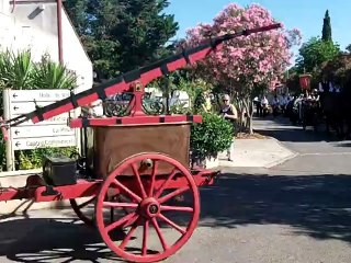 Fete des 50 ans de Rodilhan (Defiler)