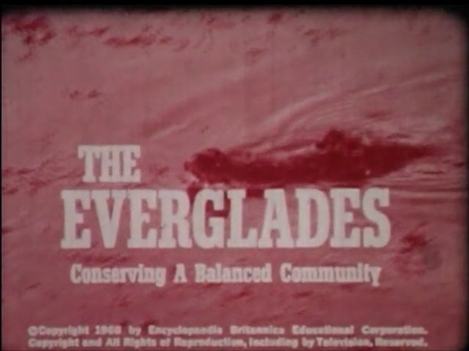 Everglades, Conserving a Balanced Community, 1973