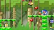 Mario vs. Donkey Kong - Monde 2 : Donkey Kong Jungle - Niveau 2-5