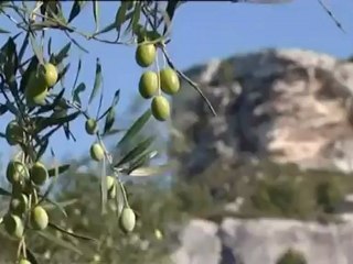 Les escapades de Petitrenaud aux Baux-de-Provence 08 07 2012