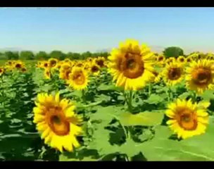 Amasya Tatil rehberi - tatilstil.com