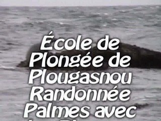 phoque 12 aout