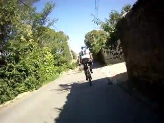 Les Coquelicots Sauteurs