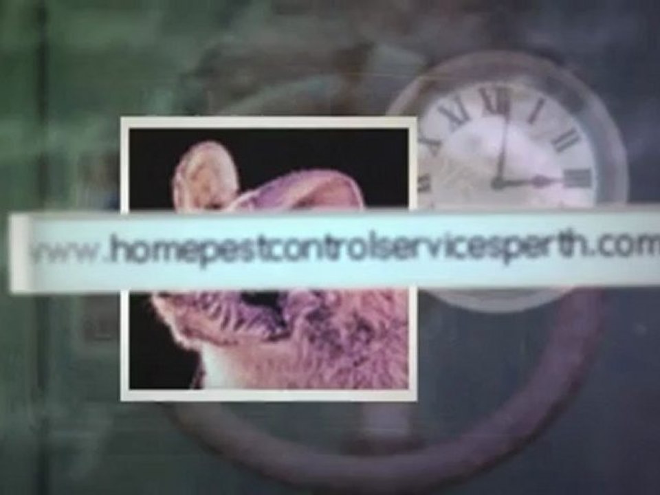 pest control Perth