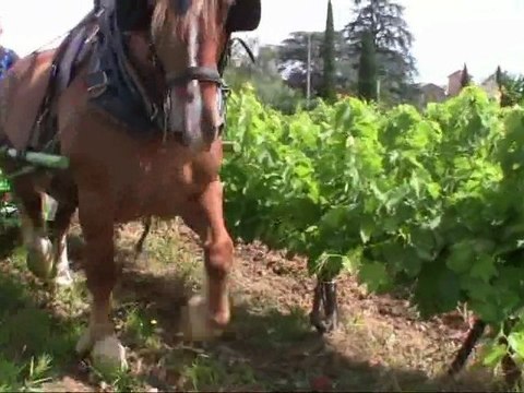 20120706 travaux agricoles cheval