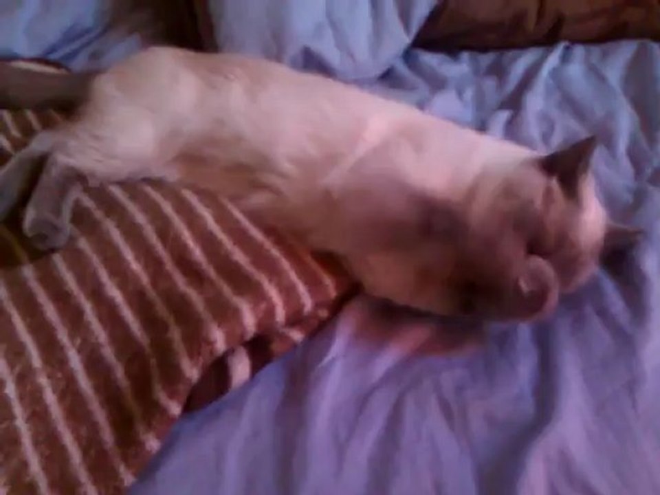 Athena and her fav' 'beheaded' mouse