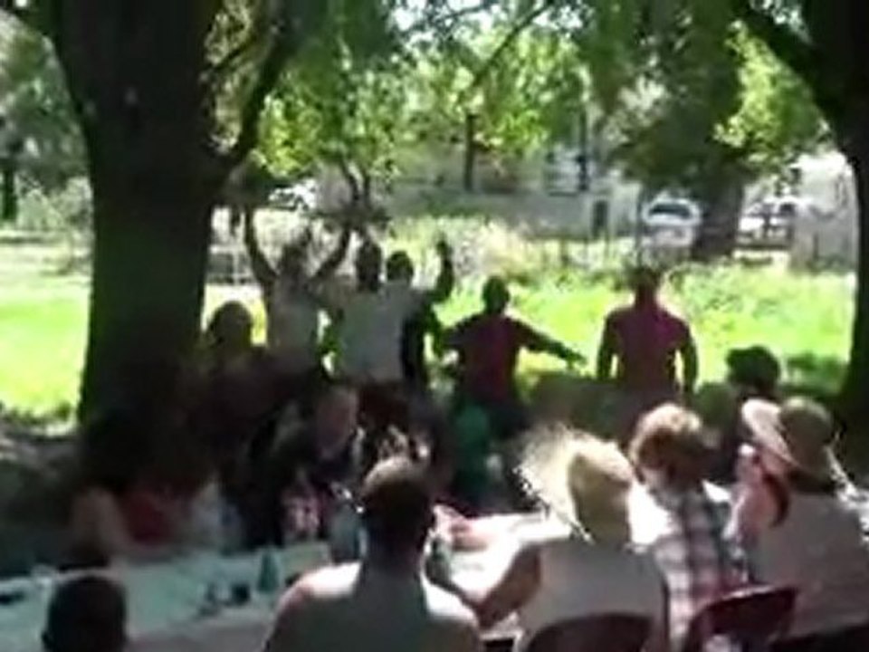 LA GARDEN PARTY 2012   le Haka