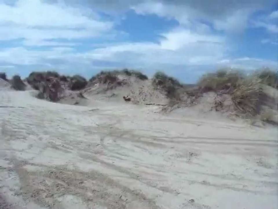 Savage et bulldogs (Le défi)