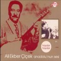 Ali Ekber Çiçek -Yol Içinde