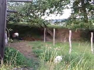 Canyon d'Ibis - 1 mois et 5 jours