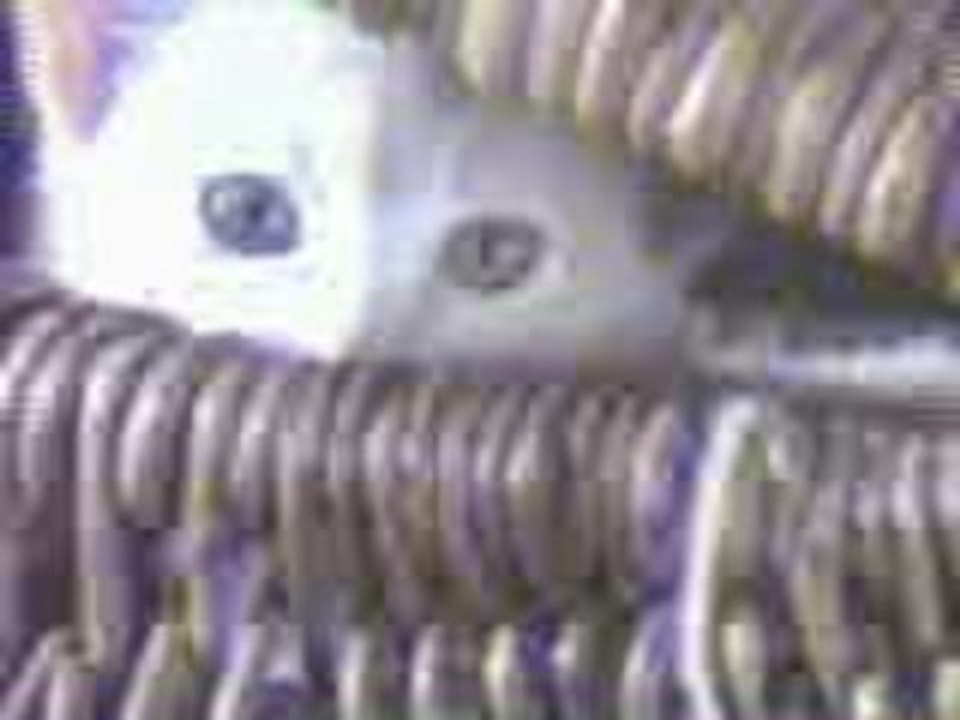 video chat pr cuiskas