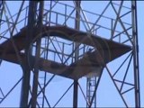 جهود مكثفة لانقاذ شاب يحاول الانتحار من أعلى برج التليفزيون ببنها