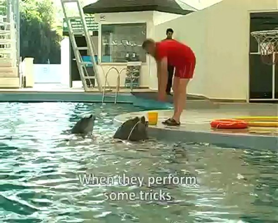 Saving Flipper