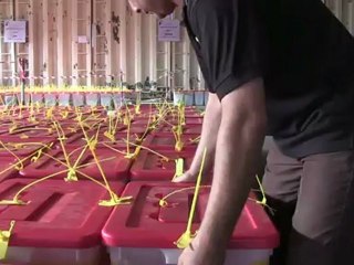 Party leader Jibril calls for unity as Libya votes tallied