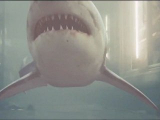 Bait 3D - Red Band Trailer