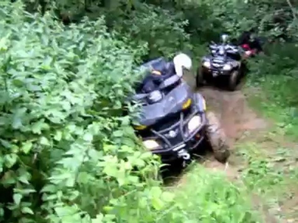 LES RANDONNEURS VERTS CAUCHOIS