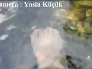 Şanlıurfa'da doktor balıklar bulundu