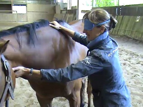 Equicoaching - Formation au leadership grâce à la relation homme/cheval