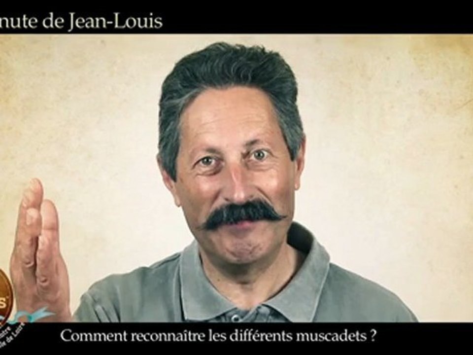 La Minute de Jean-Louis #4 - Comment reconnaître les différents muscadets ?