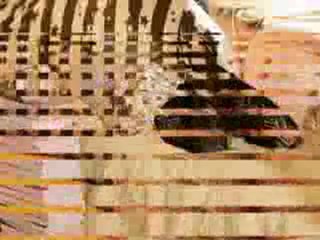 Gunce  Yorgancilar       "Seni  Seviyorum "