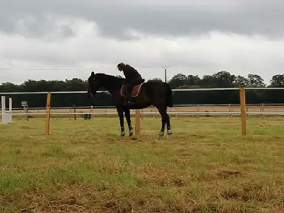 xs - juillet 2012 - ""piaffotage""