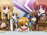 [coldlight] Mahou Shoujo Lyrical Nanoha Strikers 15 Dvd[h264][3adb5e3a]-1