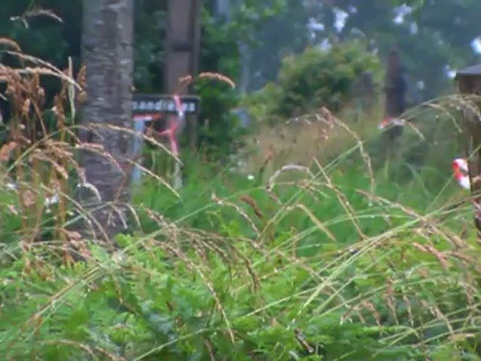 hugo lebreton  au rallye basse normandie 2012