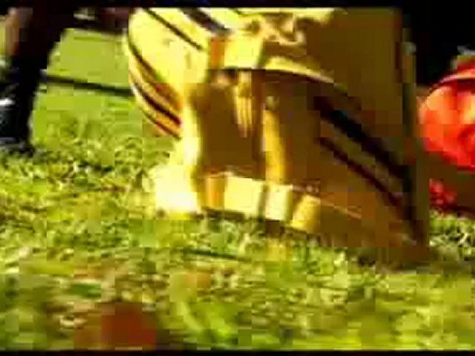 Sokak Köpekleri - Esra