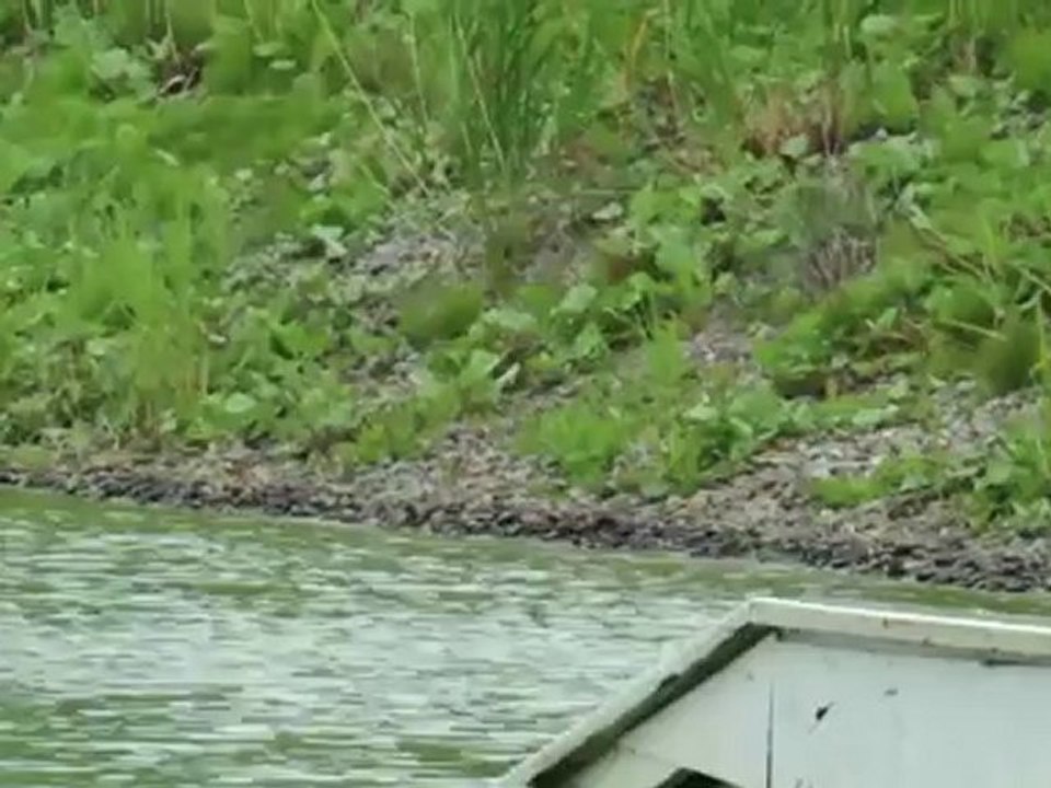 Wakeboard : les soeurs Ouellet envoient du paté!