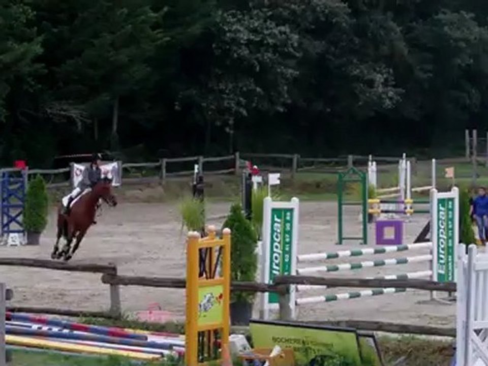 reale horse ball 07-2012