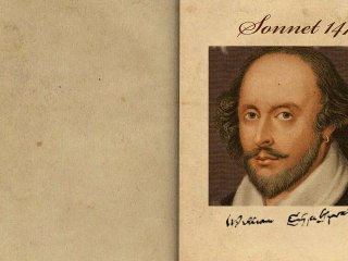 Sonnet 147 by William Shakespeare - Poetry Reading