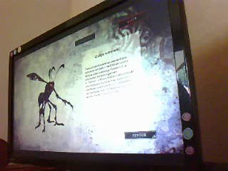 Alice Madness Returns