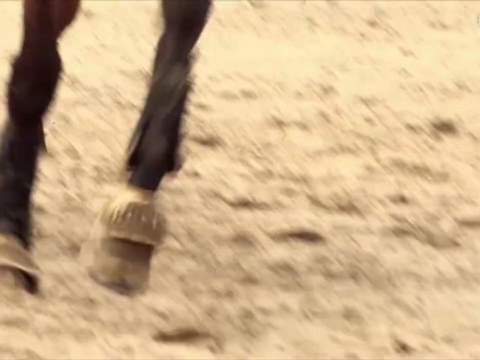 ESSEC News - Issue #4 - Sports@ESSEC