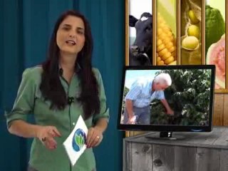 Agro Mais do dia 06-07-2012