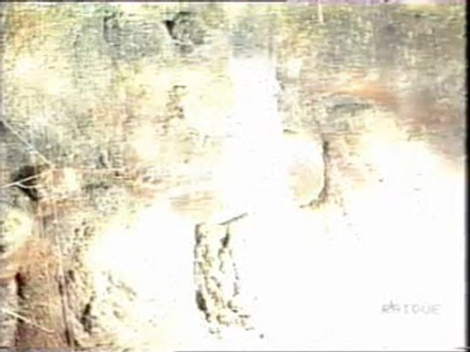 EPISODIO 24