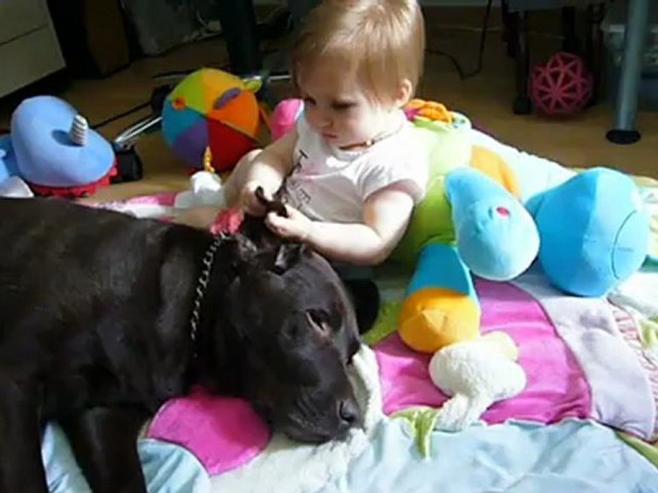 Médaille d'or du chien le plus gentil !