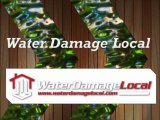 Basement Flooding Clean Up in League City, Texas - Water Damage Local