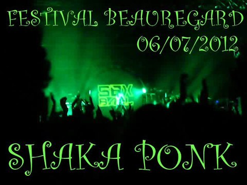 Shaka ponk @ Festival Beauregard