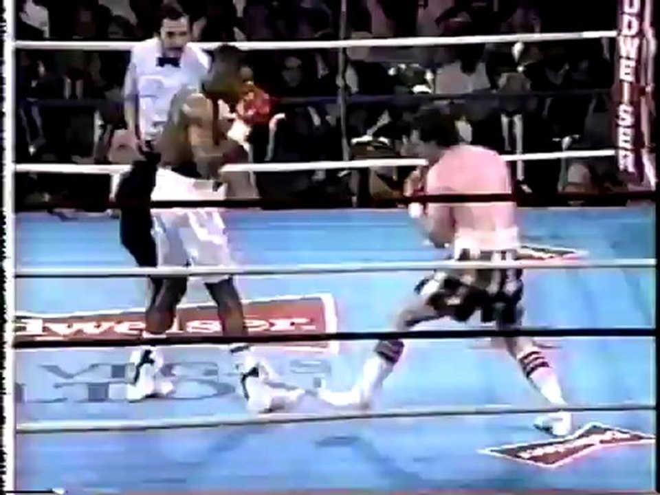 Matthew Hilton vs Robert Hines 1988-11-04
